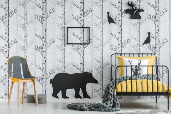 Boise Wallpaper Service