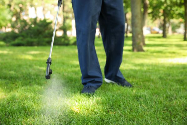 Boise Lawn Treatment