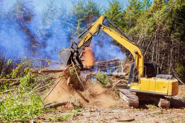 Boise Land Clearing