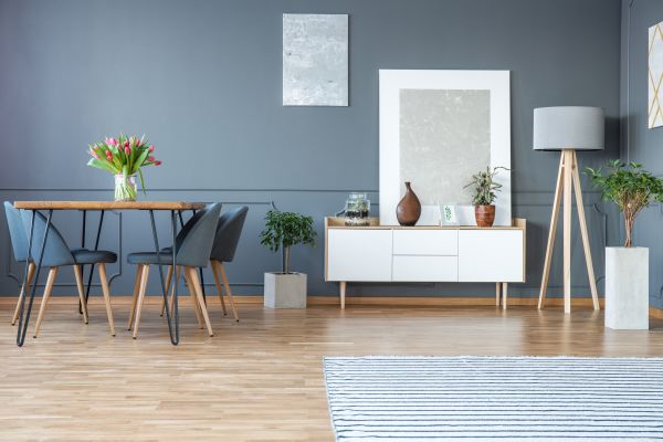 Boise Interior Painting